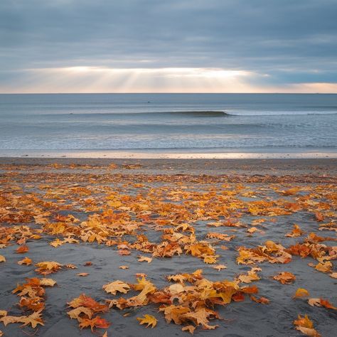 11 Inspiring Fall Seas Activities to Embrace the Season Beach Thanksgiving, Coastal Autumn, Sea Inspired Fashion, Cozy Coastal Cottage, Sea Activities, Fall Beach, Sea Decor, Sea Photography, Sea Inspired