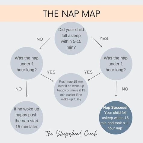 Nap Time Activities For Non Sleepers, Tired Mommy, Nap Times, Baby Schedule, Choose Your Own Adventure, Terrible Twos, Baby Nap, Pregnancy Essentials, Dig Deeper