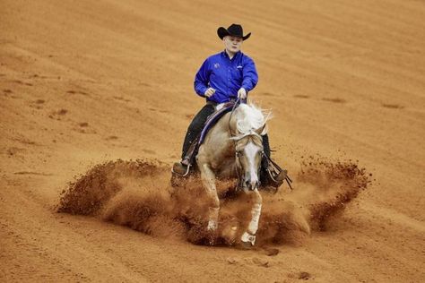 The FEI terminated its cooperation agreement with US-based reining organizations National Reining Horse Association and American Quarter Horse Association earlier this week. American Quarter Horse Association, Reining Horses, American Quarter Horse, Quarter Horse, Equestrian, Camel, Horses, Animals, Gold