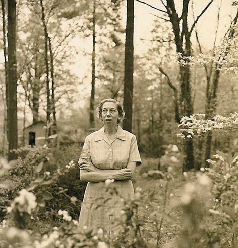 Eudora Welty, Mystical Places, Early Photos, Southern Ladies, Jim Crow, Gelatin Silver Print, Famous Authors, Writing Workshop, Beautiful Words