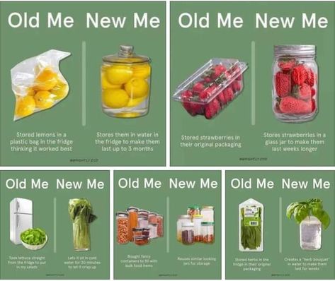 Old Me New Me, Food Saver Hacks, Healthy Fridge, Produce Storage, Prevent Food Waste, Amazing Food Hacks, Fruit And Vegetable Storage, Storage Tips, Food Saver