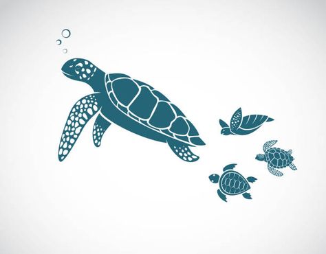 3,292 Sea Turtle Stock Photos, Pictures & Royalty-Free Images - iStock Cute Turtle Cartoon, Sea Turtle Drawing, Sea Turtle Pictures, Sea Turtle Tattoo, Cute Tortoise, Happy Turtle, Cartoon Turtle, Turtle Drawing, Family Vector