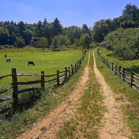 Side Road, Dirt Roads, Country Roads Take Me Home, Farm Scene, Country Scenes, Dirt Road, Back Road, Foto Art, Country Farm