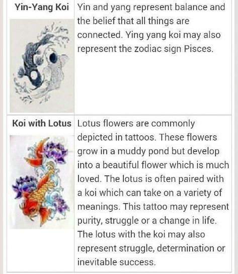 What Do Koi Fish Symbolize, Koi Fish With Flowers Tattoo Lotus, Koi Fish On Back Tattoo, What Do Koi Fish Represent, Koi Fish Meaning Symbols, Coi Fish Meaning Japanese Koi, Koy Fish Meaning, Meaning Of Coi Fish Tattoo, Yin Yang Koi Fish Spine Tattoo