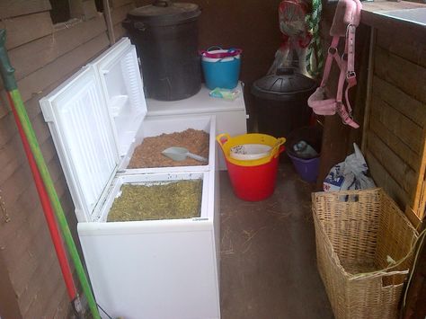 Turn old fridge into grain box Feed Storage Ideas, Small Feed Room Ideas, Chicken Feed Storage, Horse Feed Storage, Horse Feed Room, Small Shed, Barn Remodel, Meat Rabbits, Old Refrigerator