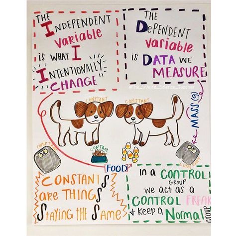 Rachael M.Ed on Instagram: “Another anchor chart that remains hung in a prominent place year round. Students don’t have this in their notebook but instead have a…” Variables Anchor Chart, Physics Anchor Charts, Anchor Charts Science, Scientific Method Anchor Chart, Science Chart, Middle School Science Classroom, Science Anchor Charts, Physics Classroom, Energy Transformations