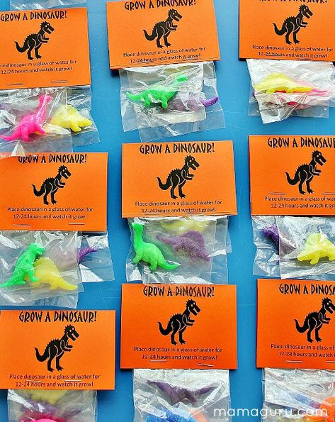 Dinosaur Birthday Party Favor Ideas, Dinosaur Birthday Goodie Bags, Jurassic World Birthday Party Favors, Dino Birthday Party Favors, Jurassic World Party Favors, Jurassic Park Party Favors, Trex Party, Dinosaur Birthday Party Favors, Jurassic Park Birthday Party