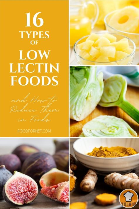 Low Lectin Diet, Foods Without Lectins, Lectin Foods List, Lectin Foods To Avoid, No Lectin Diet, Lecithin Foods, Lectin Free Vegetables, Lectin Free Smoothie Recipes, High Lectin Foods To Avoid