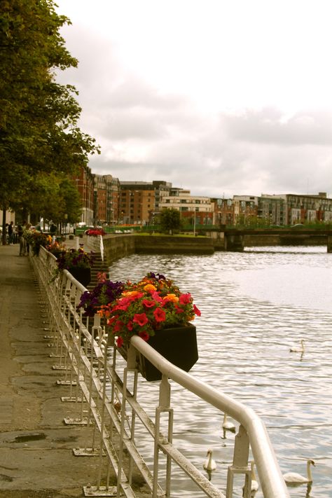 River Shannon, Limerick, Ireland by Katie Wilkinson on 500px Limerick Aesthetic, Ireland Spring, Limerick City, Limerick Ireland, Ireland Trip, Irish Sea, Visit Ireland, Irish Heritage, England And Scotland