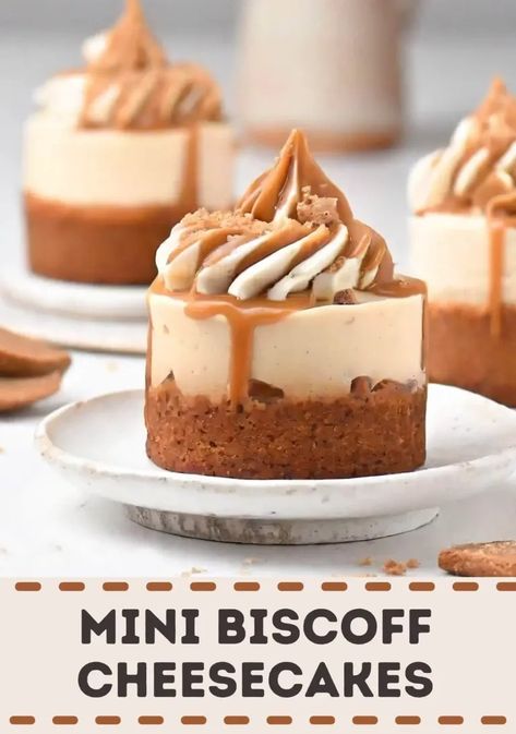 Mini Biscoff Cheesecakes Biscoff Cheesecake Mini, Mini Biscoff Cheesecake Recipes, Biscoff Mini Cheesecake, Biscoff Cheesecake Recipes, Mini Biscoff Cheesecake, Biscoff Cheesecake Cups, Lavender Dessert, Cake Bars Recipe, Whipped Cream Topping