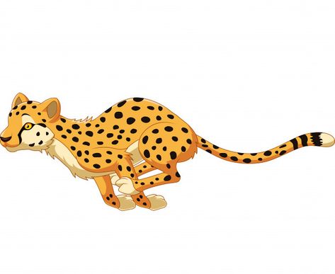 Cheetah Cartoon Drawing, Cartoon Cheetah, Cheetah Cartoon, Cheetah Running, Cute Turtle Cartoon, Cute Elephant Cartoon, Eagle Cartoon, Running Vector, Running Cartoon