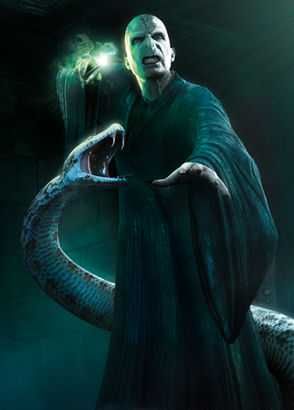 The Dark Lord Voldemort Wallpaper, Nagini Harry Potter, Lord Voldemort Tom Riddle, Harry Potter Lord Voldemort, Harry Potter Phone, Harry Potter Voldemort, Socks Aesthetic, Harry Potter Images, Images Harry Potter