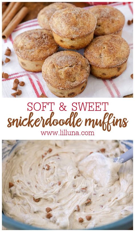 Soft and sweet Snickerdoodle Muffins taste just like their cookie cousin! They're a perfect grab-and-go breakfast or late-night snack. #snickerdoodlemuffins #snickerdoodle #muffins #breakfast Snickerdoodle Mini Muffins, Snickerdoodle Muffins Easy, Snickerdoodle Donut Muffins, Snicker Doodle Muffins, Grab And Go Desserts, Late Snacks, Muffins With Sour Cream, Late Night Baking, Snickerdoodle Muffins Recipe