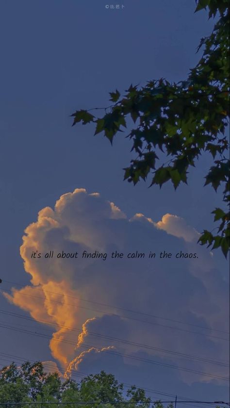 Its All About Finding Calm In The Chaos, Chaos And Peace Quotes, It's All About Finding The Calm In Chaos, Life Chaos Quotes, Calm Over Chaos Quotes, Peace In Chaos Quote, Calm In The Chaos Quotes, Calm Captions, Calm Quotes Aesthetic