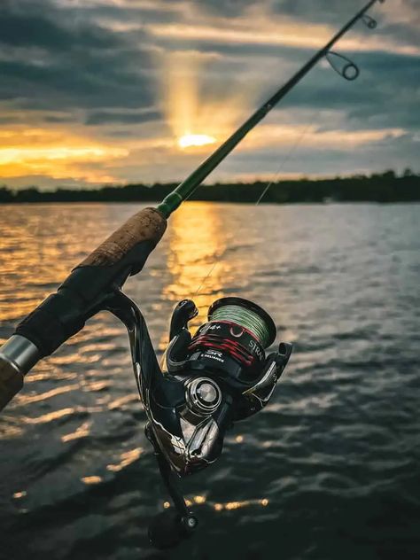 Aesthetic Fishing Pictures, Fishing Aesthetic, Fish Wrap, Men Fishing, Fishing Photos, Fishing Photography, Fishing Pictures, Outdoors Activities, Fishing Rods And Reels