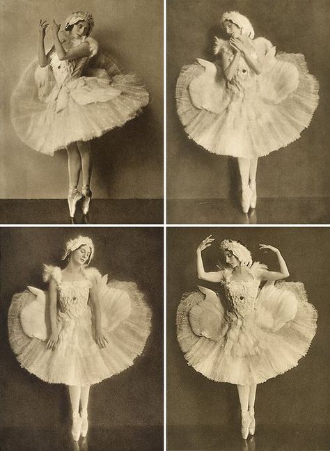 Swan Lake Costumes, Ballerina Picture, Classic Dance, Ballerina Project, Ballet Russe, Anna Pavlova, Vintage Ballerina, Vintage Ballet, Vintage Dance