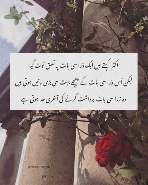 Majboori Quotes, Person Quotes, Inspirational Quotes In Urdu, Bitter Truth, Drama Songs, Quotes In Urdu, Urdu Thoughts, Urdu Words, Love Poetry Urdu