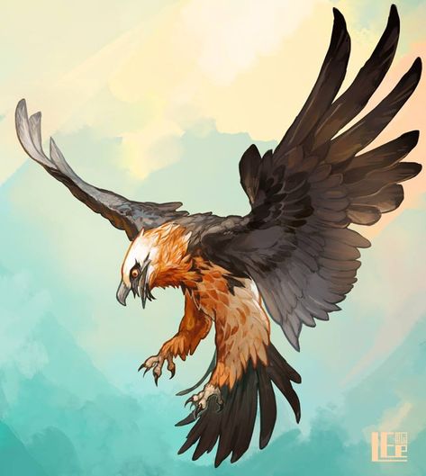 Love the bearded vulture Bearded Vulture, Creature Drawings, Desenho Tattoo, An Eagle, Arte Sketchbook, Creature Concept Art, Animal Sketches, Bird Drawings, Creature Concept