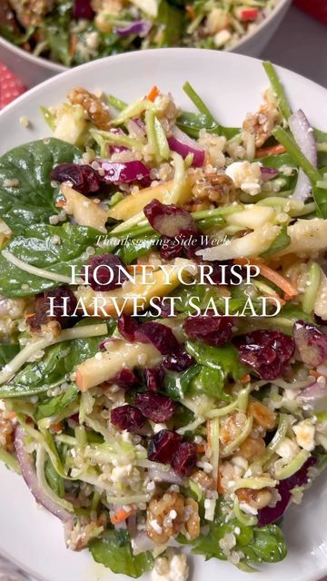 Taylor Bridell on Instagram: "HONEYCRISP HARVEST Salad 🍎🥗 I’m bringing you 5 new recipes as part of Thanksgiving Side week & we’re kicking it off with a festive salad for anyone wanting to keep things light & fresh!! Tons of texture, flavor & nutrients to power you through all those rich Thanksgiving foods 😉 Maple mustard vinaigrette: 1/2 c olive oil 1/4 c apple cider vinegar 2 tbsp Dijon mustard 2 tbsp maple syrup 1/2 tsp garlic powder 1/4 tsp of both salt & pepper For the salad: 1 large Maple Dijon Crunch Salad, Fall Salad Maple Dressing, Maple Mustard Vinaigrette, Honey Crisp Harvest Salad Recipe, Honey Crisp Harvest Salad, Autumn Apple Walnut Salad With Maple Vinaigrette, Autumn Apple Walnut Salad With Maple Dijon Vinaigrette, Honeycrisp Harvest Salad, Harvest Salad Recipes