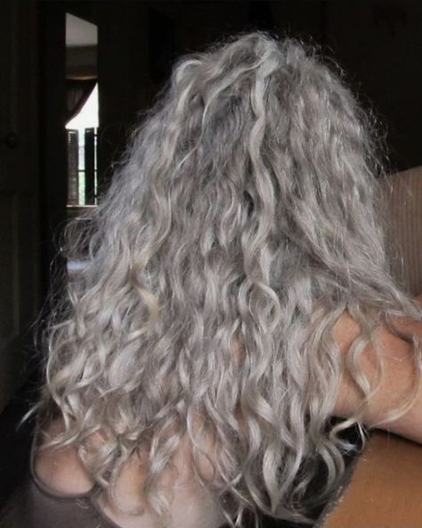 Silver Hair Inspiration, Ashy Curly Hair, Grey Hair Aesthetic, White Curly Hair, Grey Dyed Hair, Grey Hair Dye, Best Hair Dye, Grey Curly Hair, Black Hair Extensions