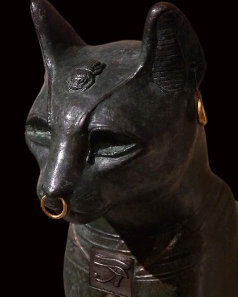 In Ancient Egypt, if your household cat died, the whole family would shave off their eyebrows in mourning, then take the cat to be mummified in Bubastis, the centre of worship for the feline goddess Bastet. Cat Died, Cats In Ancient Egypt, Pirates Skull, Goddess Of Protection, Jungian Archetypes, Goddess Bastet, Ancient Egyptian Deities, Egyptian Deity, Egyptian Cat