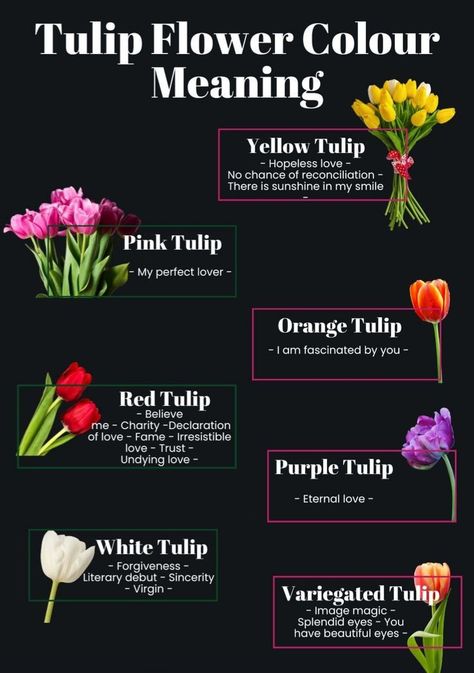 Tulips Meaning Language Of Flowers, Flower Color Meaning, Tulips Meaning, Types Of Tulips, Tulips Images, Flower Chart, Planting Tulips, Tulip Colors, Flower Guide