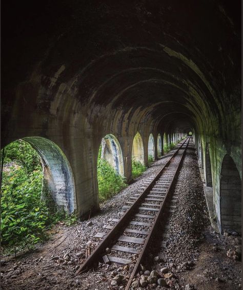 Abandoned Railroad Tracks, Train Tunnel, Apocalypse Aesthetic, Abandoned Train, Railroad Photography, Old Train, Train Pictures, Model Train Layouts, Train Layouts