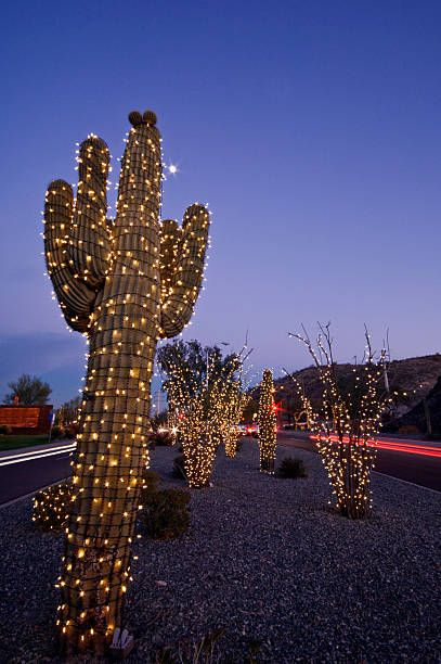 Cactus Christmas Lights Premium Pictures, Photos, & Images - Getty Images Cactus With Christmas Lights, Christmas In The Desert, Desert Christmas, Avenging Angel, Cactus Light, Cactus Christmas, California Christmas, Spanish Bungalow, Kristen Ashley