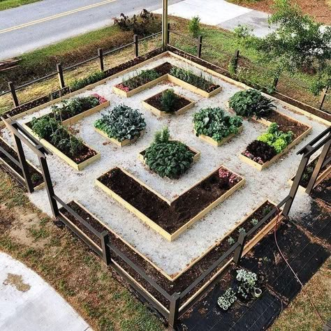 Fancy Raised Garden Bed, Front Yard Veggie Garden Ideas, Raised Planters, Vege Garden, Garden Boxes Raised, Amazing Backyard, Garden Layout Vegetable, Garden 2023, Raised Bed Garden