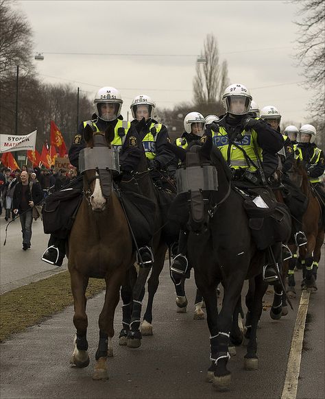 Mounted Police Horses, Police Horse, Malmo Sweden, Mounted Police, Horse Facts, Police Humor, Riot Police, All About Horses, Horse Crazy