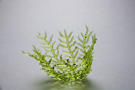 Seaweed Sculpture, Water Sculpture, Roanoke Island, Brain Coral, Fan Coral, Making Glass, Glass Lampwork, Glass Fusion, Art Society