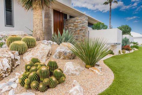 Dessert Yard Landscape, Boulder Landscaping Ideas, Cactus Garden Design, Desert Landscape Design, Cactus Garden Landscaping, Succulent Garden Landscape, Succulent Landscape Design, Front Garden Landscape, Front Garden Design