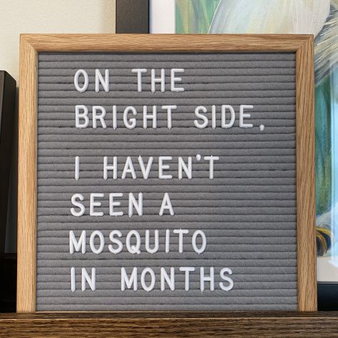 January Message Board Quotes, Monday Letter Board Quotes, Letter Board February, New Year Felt Board Quotes, Funny Winter Letterboard, Christmas Letter Board Ideas Funny, January Felt Board Quotes, December White Board Ideas, Winter Felt Board Quotes