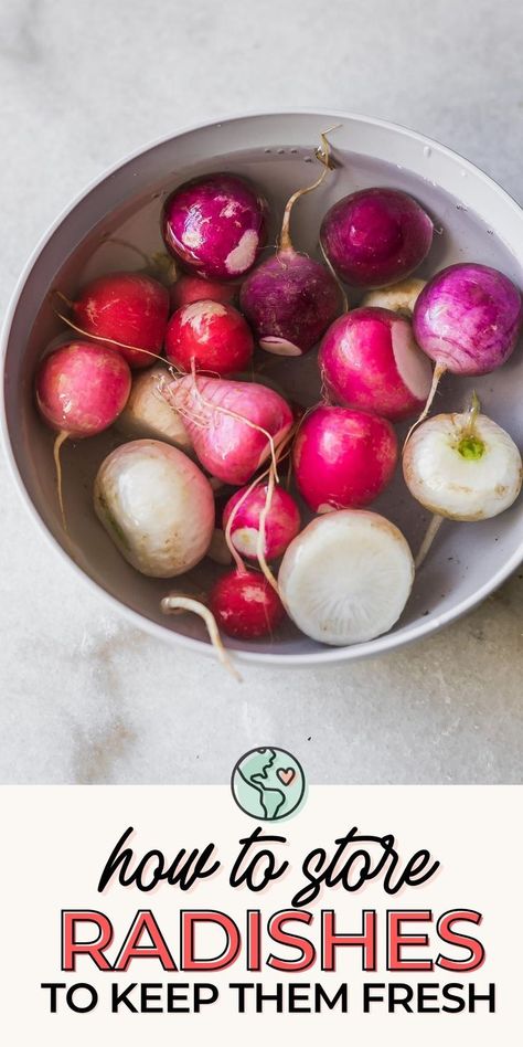 Wondering the best way to store fresh radishes? This ultimate guide to storing radishes will answer all your questions about how to keep radishes fresh and crisp, whether you store them in the fridge, freezer, on the counter, or in the basement. Give these methods a try and let us know what you think! Storing Radishes In Fridge, How To Store Radishes In Fridge, Storing Radishes, How To Store Radishes, Preserving Vegetables, Radish Greens, Radish Recipes, Green Eating, Sustainable Kitchen