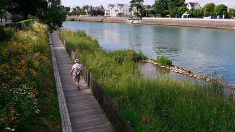 Wetland Park, Architecture Icons, Easy Landscaping, River Bank, Landscape Plans, Traditional Landscape, Landscaping Tips, Cool Landscapes, Landscape Projects