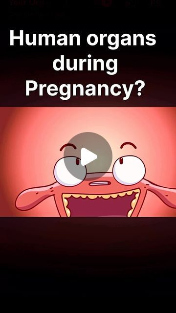 Scientifically how? on Instagram: "Human organ during pregnancy 🤰 

Credit: @casicreativoenglish YT

#pregnancy #child #embryo #trending #medicalscience #trending #viralreels" Funny Pregnancy Pictures, Funny Maternity Pictures, Human Embryo, Pregnancy Videos, Human Organ, Pregnancy Humor, Baby Tips, Medical Science, Welcome Baby