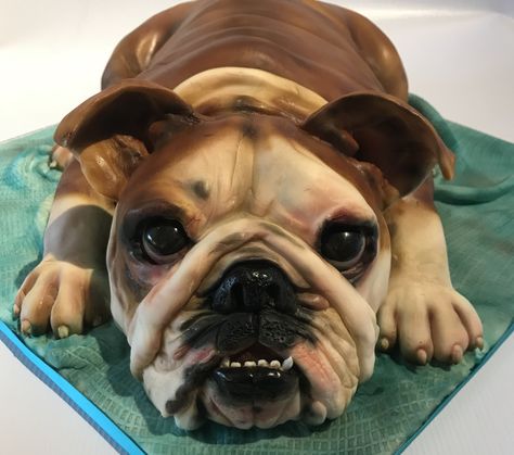 British Bulldog Cake by Louise at Cake Oddity Bulldog Cake Ideas, Toffee Buttercream, Carving Cake, Carving Cake Recipe, Creative Sweets, Bulldog Cake, Butterscotch Cake, Gravity Defying Cake, Realistic Cakes