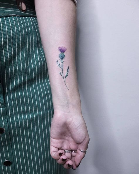 TATTOO ARTIST & ILLUSTRATOR | Thistle | Instagram Thistle Rose Tattoo, Outlander Tattoos, Thistle Flower Tattoo, Hobbit Tattoo, Scotland Tattoo, Scottish Thistle Tattoo, 2016 Tattoo, Scottish Tattoo, Scottish Tattoos