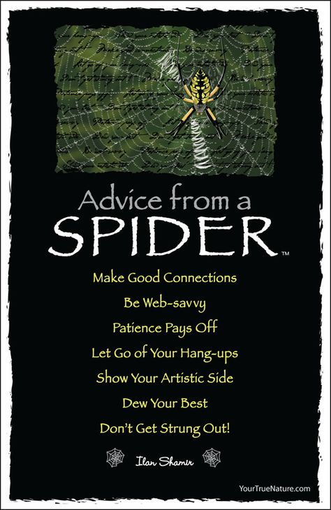 Advice from a Spider Advice From A, Spider Quotes, Animal Spirit Guides, Animal Spirit, Animal Totem, Spirit Animals, Advice Quotes, Animal Totems, Art Card