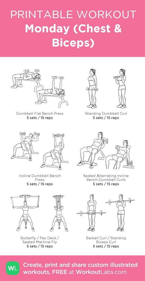 Gym Workout Chest For Women, Chest And Biceps Workout Women, Workout Sets And Reps Gym, Bicep And Chest Workout Women, Biceps Chest Workout, Gym Workouts Women Chest, Back Workout Women Gym Weights, Back And Lats Workout Women, Chest And Bicep Workout Gym