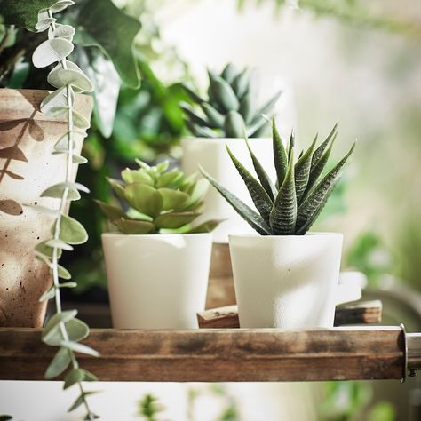 FEJKA Artificial potted plant with pot, 203.953.31 - IKEA Tattoo Plant, Dead Leaves, Desk Plants, Painted Plant Pots, Artificial Potted Plants, Artificial Leaf, Better Things, Mini Succulents, Ikea Family