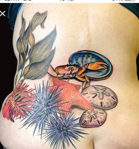 Pool Tattoo, Moms Tattoo, Sky Tattoos, Shell Tattoos, Polynesian Islands, Sea Tattoo, Tattoo Reference, Tide Pool, Fusion Ink