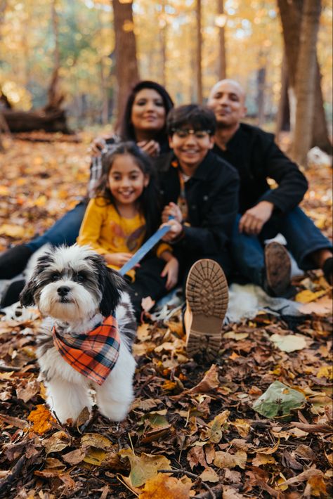 Family Of 3 Photoshoot With Dog, Family Portraits With Dogs, Family Pictures With Dogs And Kids, Puppy Family Photoshoot, Family Poses With Dog, Family Photoshoot With Dog, Family With Dog Photography, Family Photoshoot With Dog And Kids, Two Dog Family Photo