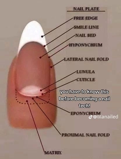 Acrylic Nails Dos And Donts, Nail Prep Step By Step Acrylic, Nail Filing Tips Shape, How To Shape Nails Step By Step, Valentines Day Dinner Party, Nail Knowledge, Nail Notes, Nails Designs Christmas, Nail Info