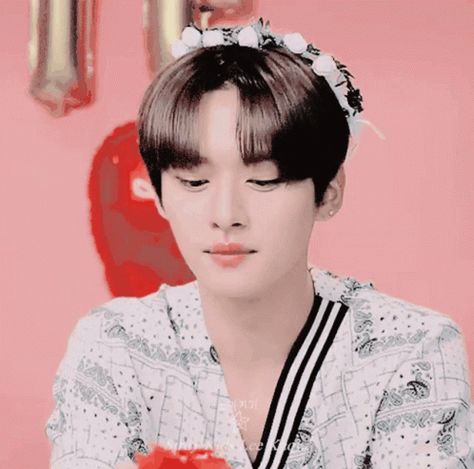 Lee Know Lee Know Is Cute GIF - LeeKnow LeeKnowIsCute Cute - Discover & Share GIFs Leeknow Gif, Lee Know Gif, Lee Know Cute, Skz Gif, Gif Kpop, Pretty Gif, District 9, Stray Kids Minho, Stray Cats