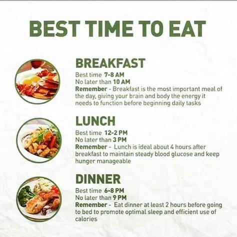 Healthy Weight Gain Foods, Meal Schedule, Best Time To Eat, Eating Schedule, Weight Gain Meals, Healthy High Protein Meals, Easy Healthy Meal Prep, Healthy Food Dishes, Healthy Lifestyle Food