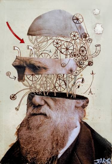 Loui Jover, Collage Portrait, Soyut Sanat Tabloları, Charles Darwin, Collage Illustration, Collage Design, Surreal Art, Art Plastique, Portrait Art