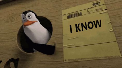 IKnow Penguin GIF - IKnow Penguin Point - Discover & Share GIFs It Was A Joke, Tenor Gif, Know Your Place, Penguins Of Madagascar, Practical Magic, Just Kidding, Video Marketing, Images Gif, Funny Things