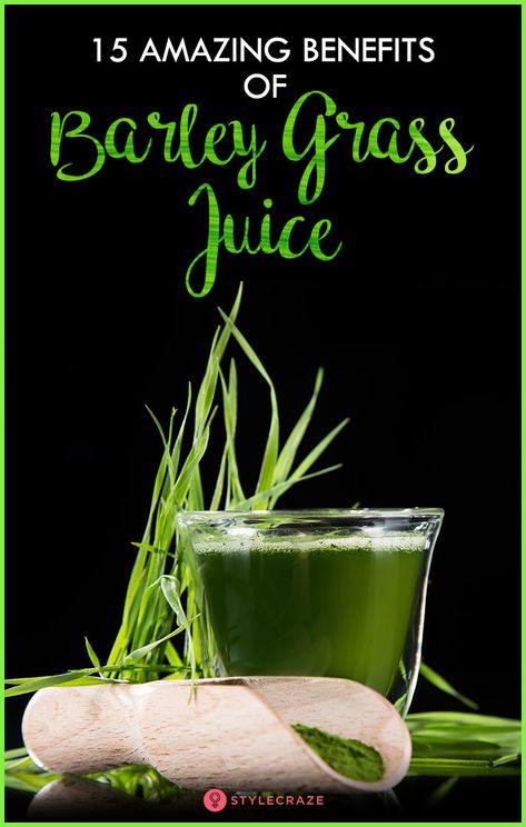 15 Amazing Benefits Of Barley Grass Juice Barley Drink Recipe, Barley Juice Powder Benefits, Remove Wrinkles From Face, Barley Grass Powder Recipe, Face Wrinkles Remover, Barley Grass Benefits, Barley Grass Powder Benefits, Barley Health Benefits, Barley Grass Juice Powder Benefits