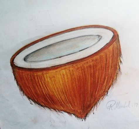 Coconut drawing using pastel color on paper Coconut Drawing, Oil Pastel Techniques, Vegetable Drawing, Poster Color Painting, Basic Painting, Easy Art For Kids, Drawing Lessons For Kids, Fruits Drawing, Object Drawing